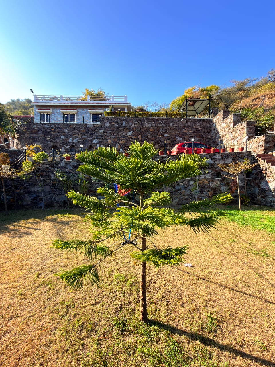 WhatsApp Image 2026-03-17 at 1.53.39 PM